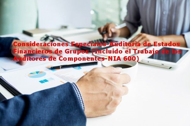 Consideraciones Especiales-Auditoria de Estados Financieros de Grupos (Incluido el Trabajo de los Auditores de Componentes-NIA 600)